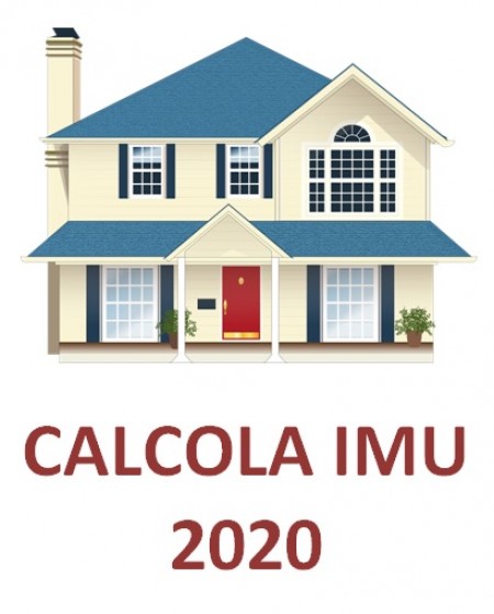 IMU 2020