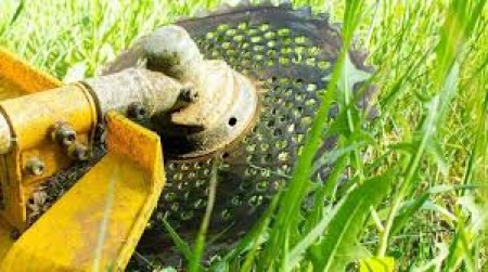 PULIZIA TERRENI NEL CENTRO ABITATO E TAGLIO SIEPI STRADE RURALI