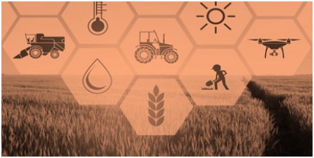 Distretto rurale Giudicato di Arborea - avviso adesioni in qualità di socio fondatore