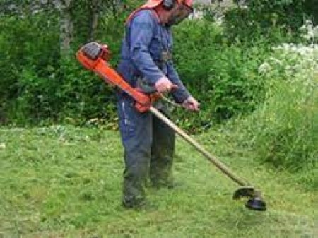 PULIZIA TERRENI DA STERPAGLIE E POTATURA ALBERI E SIEPI SIA NELLE AREE URBANE CHE RURALI