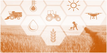 Distretto rurale &quot;Giudicato di Arborea&quot; - quinto incontro del processo partecipativo