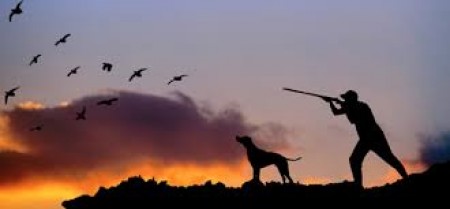 caccia - restituzione foglio annata venatoria