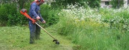 pulizia delle aree urbane e rurali da sterpaglie, per la prevenzione di incendi  e motivi di igiene e sanità pubblica